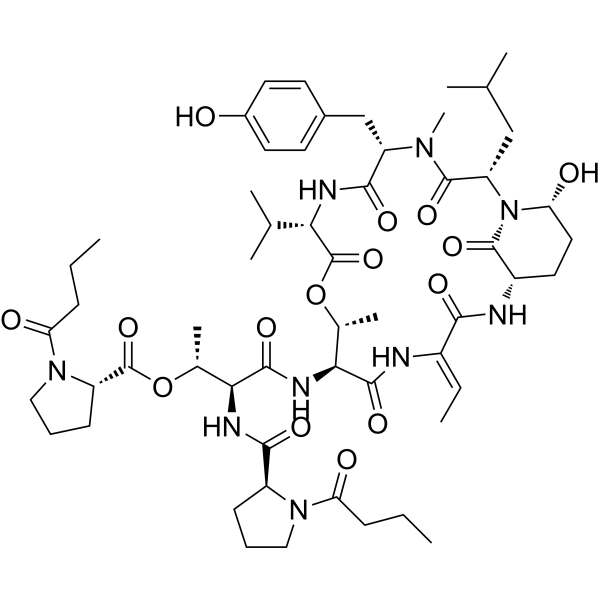 Rivulariapeptolides 1121 Structure